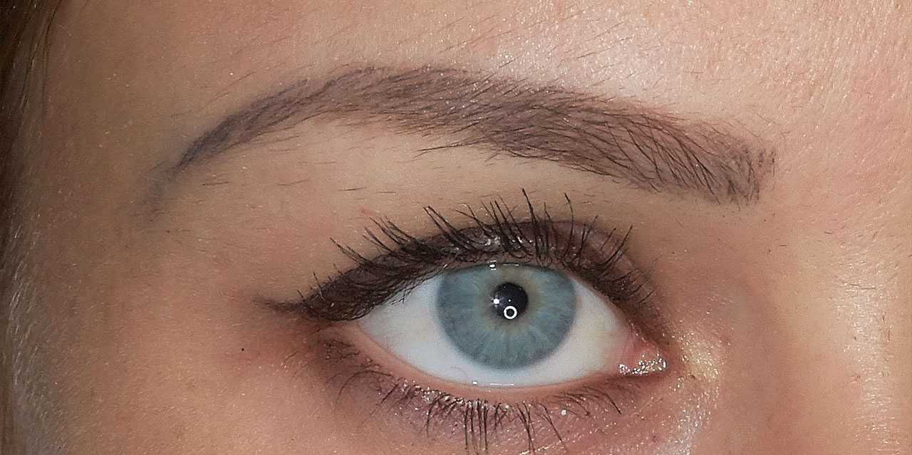 Microblading Macro image: after 8 months. fully healed