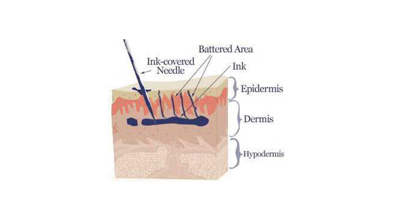 Pigment placement into skin during Microblading